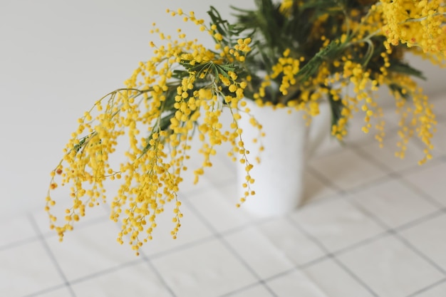 Floral background a branch of Mimosa on a light background copyspace for your text