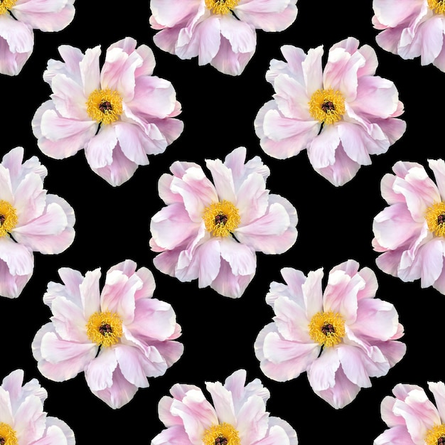 Floral background. Seamless pattern with peony flower