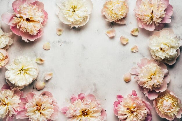 Floral background with many peony flowers