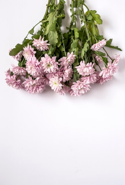 Фото Цветочный фон с розовыми цветами