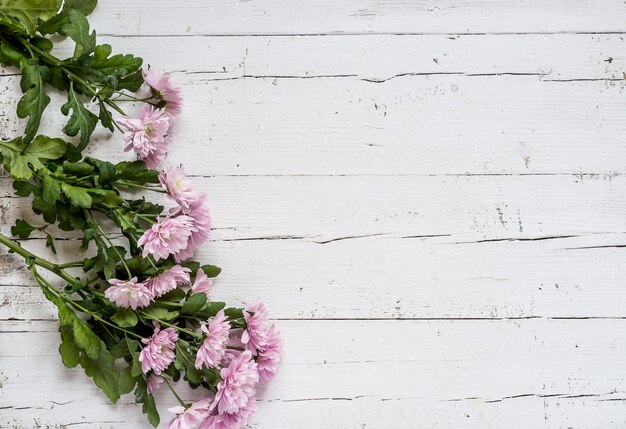 Floral background with red and white tulips and daisies