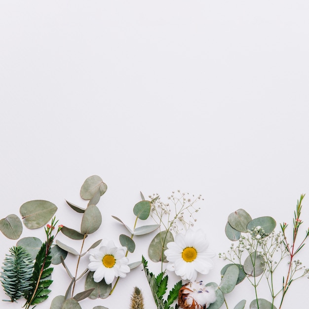 Photo floral background with space on top