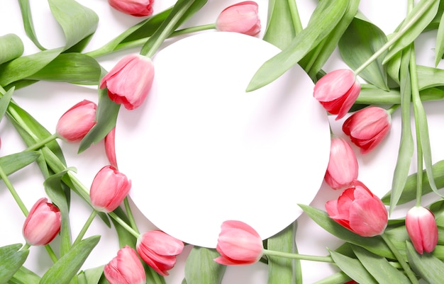 Floral background with tulips flowers on white background. 