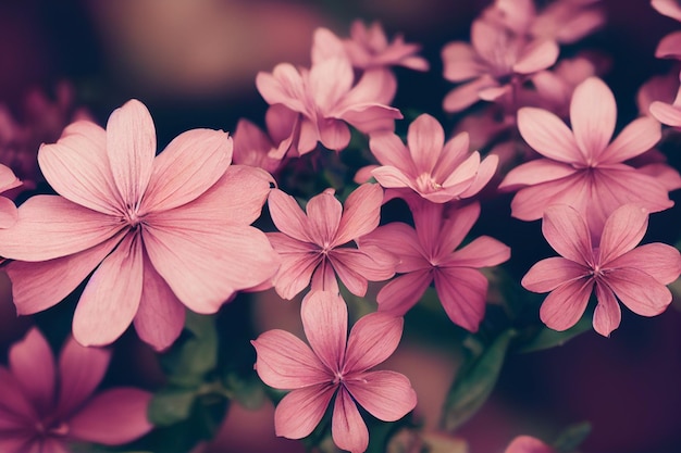 Floral Background