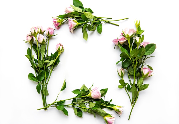 floral border with blank space