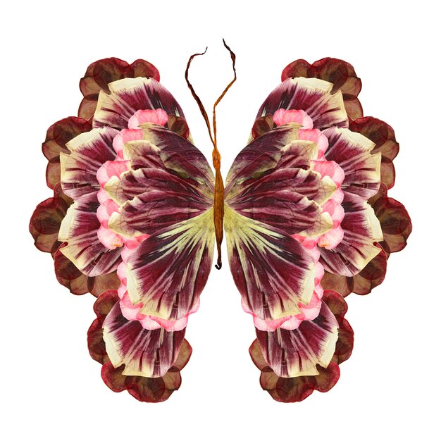 Floral butterfly made of flowers