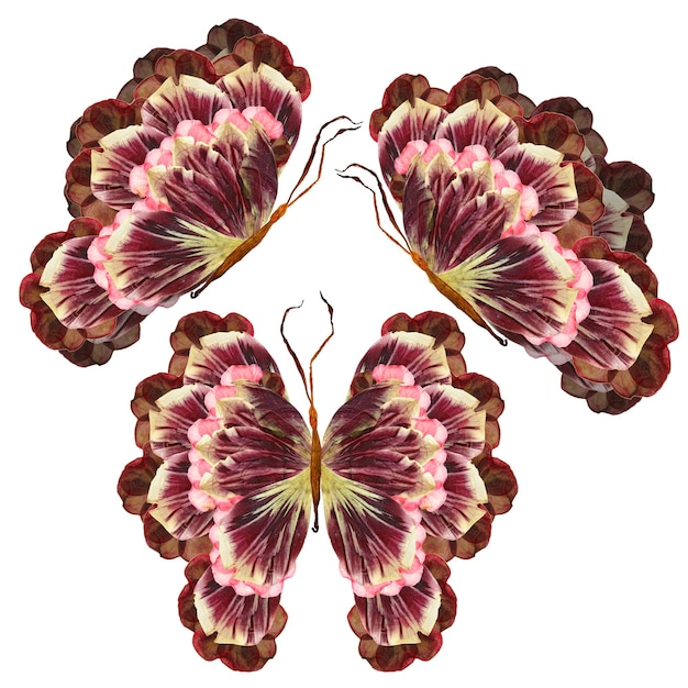 Floral butterfly made of flowers