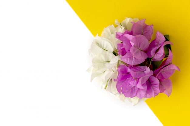 Floral composition made of pink and white flowers on yellow background. Flat lay, top view.