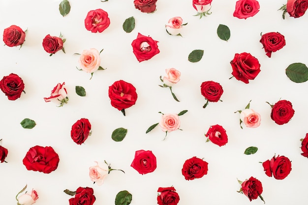 Floral composition with red, pink rose flower buds and leaves pattern texture on white surface