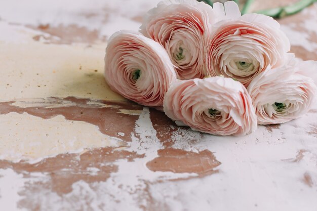 Floral decoration surface with pink ranunculus