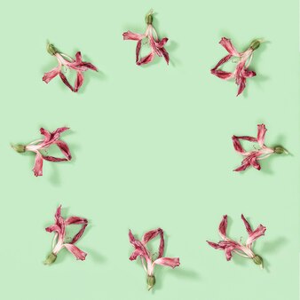 Cornice decorativa floreale da fiori rossi secchi biglietto di auguri con disegno floreale con pianta naturale