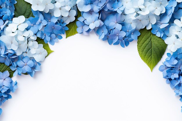 a floral design with blue flowers on a white background.