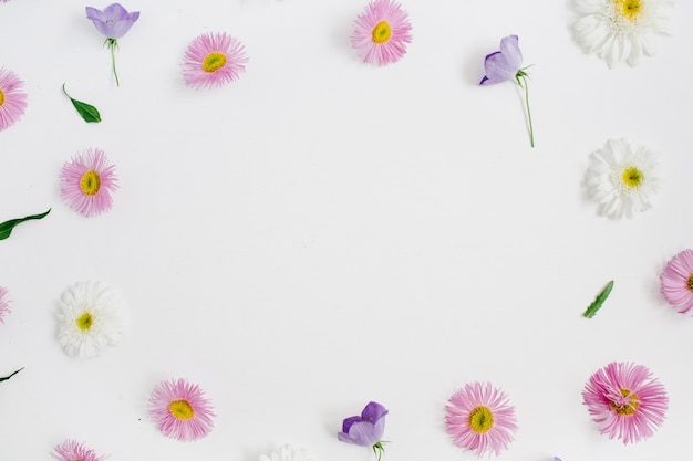 Photo floral frame made of white and pink chamomile daisy flowers, green leaves on white