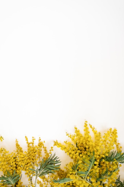 Floral frame van gele mimosa takken op witte achtergrond Bloemen van de dag van de vrouw Plat lag bovenaanzicht