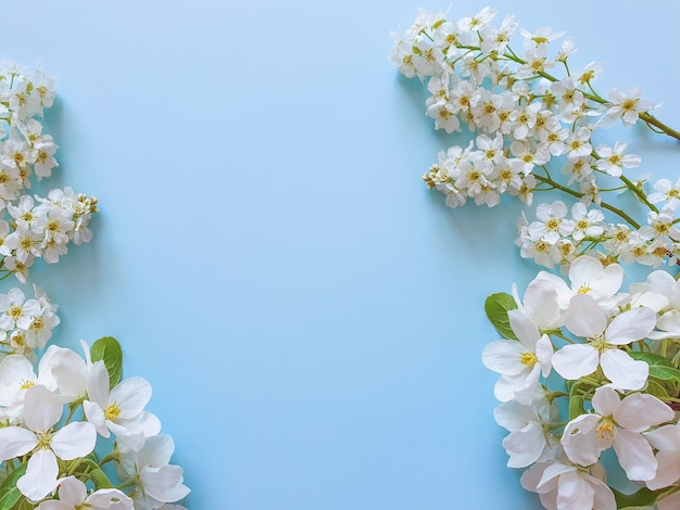 Floral frame van kleine witte bloemen op blauwe tafel