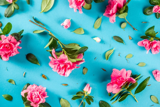 Floral frame with pink spring flowers