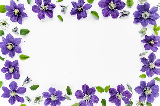 Foto cornice floreale con spazio per il testo fatta di fiori viola, foglie verdi e rami su fondo bianco