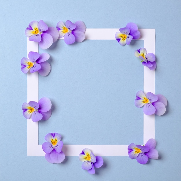 Floral frame with wild flower petals on pastel blue background. Top view, tender minimal flat lay style composition