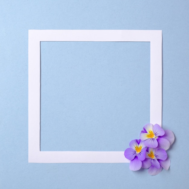 Photo floral frame with wild flower petals on pastel blue background. top view, tender minimal flat lay style composition.