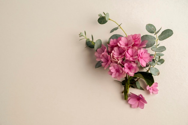 꽃 인사말 카드 모형 핑크 수국과 유칼립투스 잎 복사 공간 꽃 flatlay 템플릿