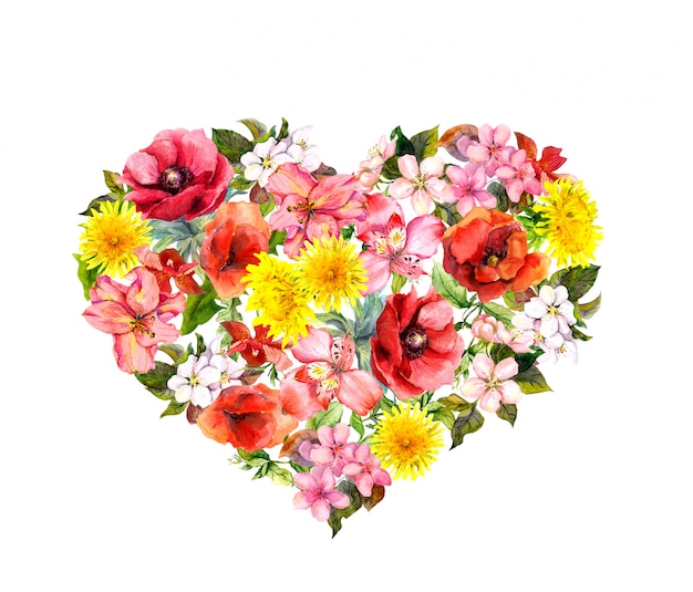붉은 양 귀 비, 핑크 꽃과 꽃 마음. 발렌타인 데이 수채화