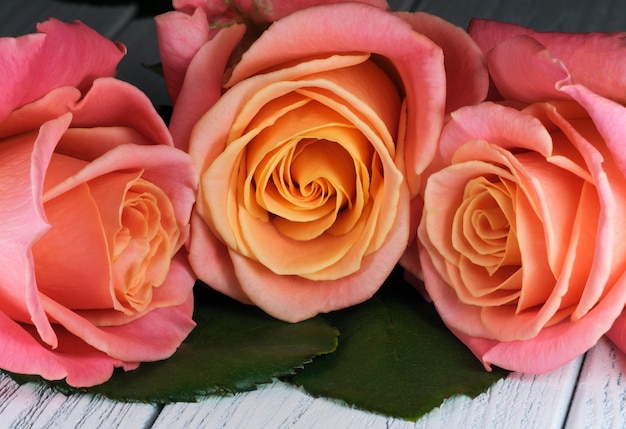 Floral holiday card with beautiful roses on the table close-up macro photography