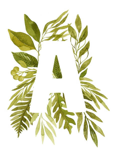 Photo floral letter a monogram green watercolor leaves ferns eucalyptus and berries floral lettering