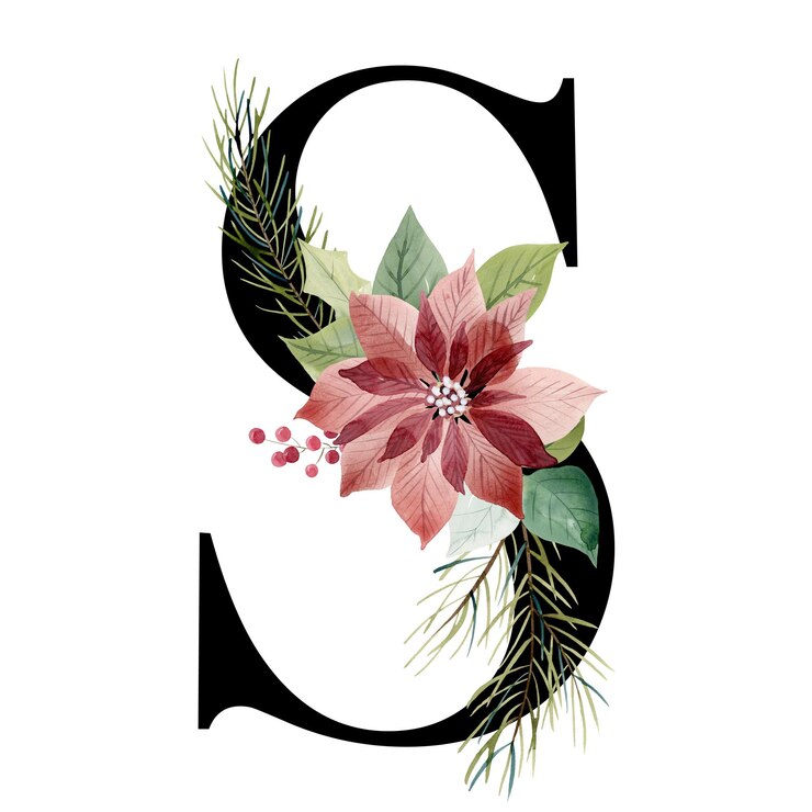 Photo クリスマス ポインセチアと花文字 s