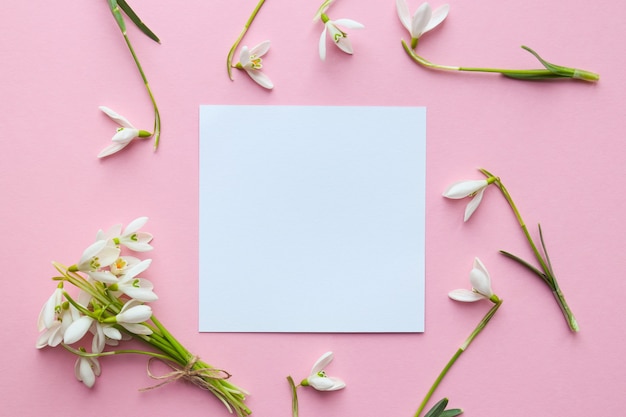 Photo floral mock up delicate snowdrop flowers on a light pink background with empty paper blank