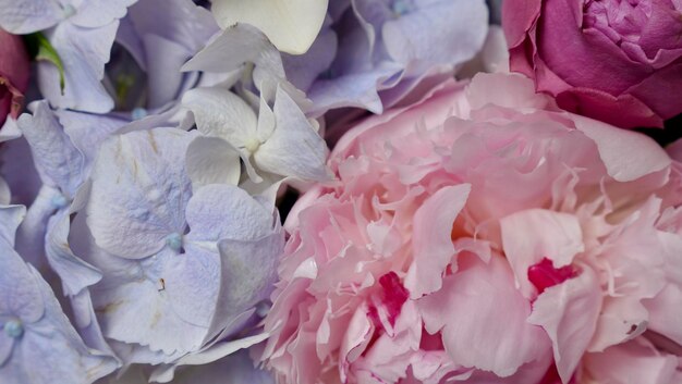 Цветочный естественный фон с голубой гарденией, розовой розой и белой хризантемой крупным планом