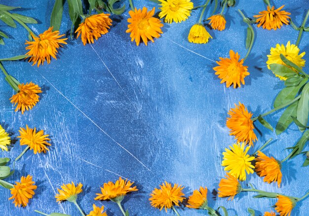 Photo floral pattern of calendula flowers on blue