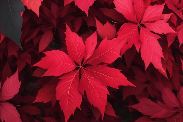 floral pattern of green and red leaves in nature ornaments