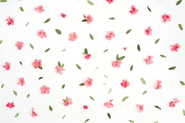 Floral pattern made of pink hydrangea flowers, green leaves, branches on white