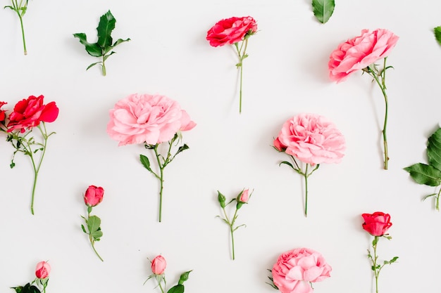 Floral pattern made of pink and red roses, green leaves, branches on white