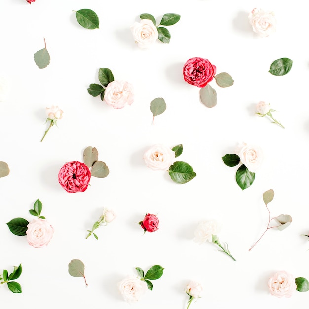 Floral pattern made of red and beige roses, green leaves, branches on white