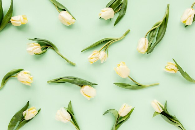 Motivo floreale fatto di tulipano giallo su sfondo verde piatto vista dall'alto san valentino sfondo flor