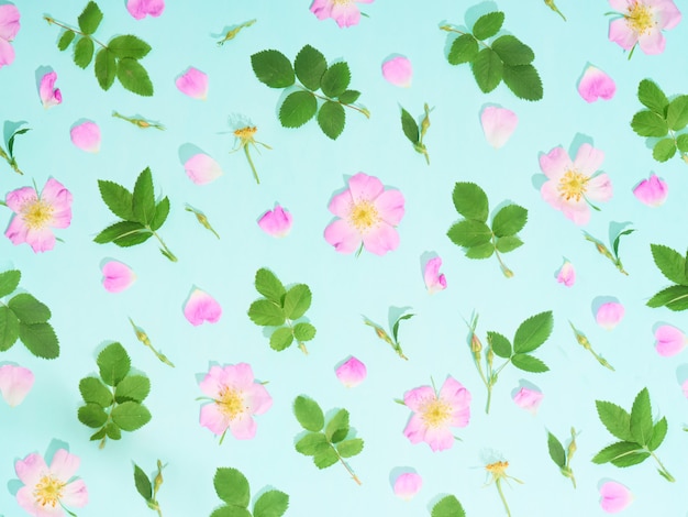 Floral pattern of pink wild roses on blue background.