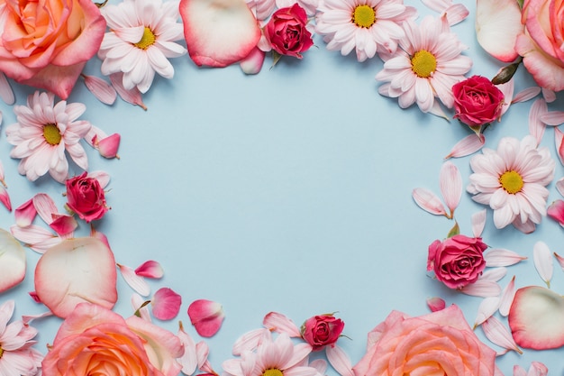 Floral pattern of roses buds, camomiles and petals on blue background. 