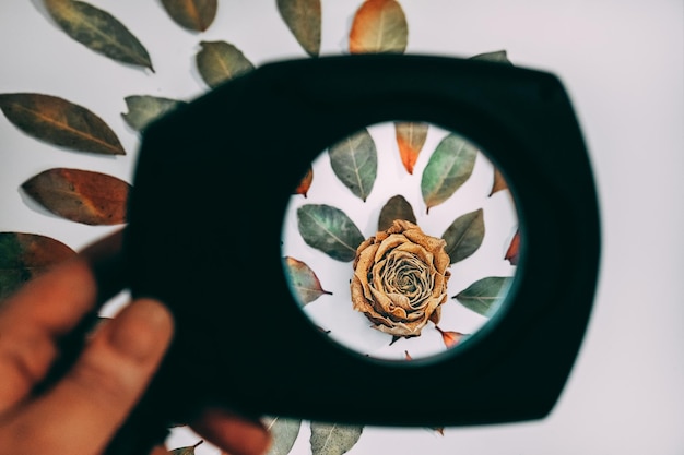 Photo floral pattern seen through glass held by hand