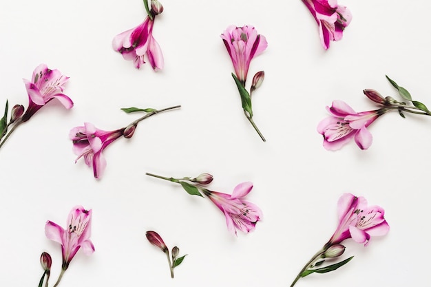 Floral pattern with delicate purple flowers. Chaotic buds scattered on white background.