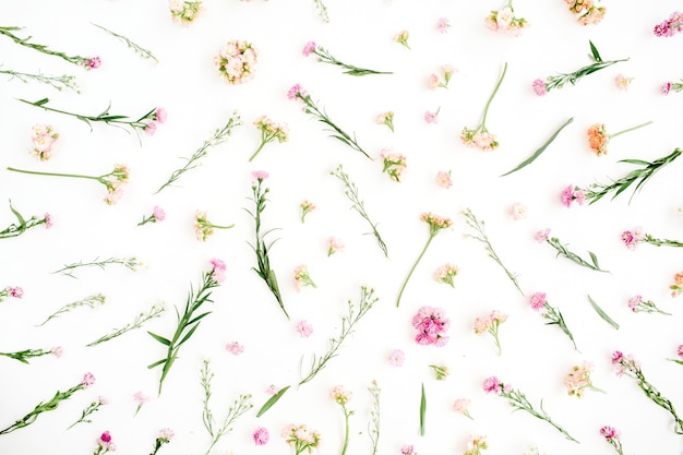 Photo floral pattern with pink and beige wildflowers design