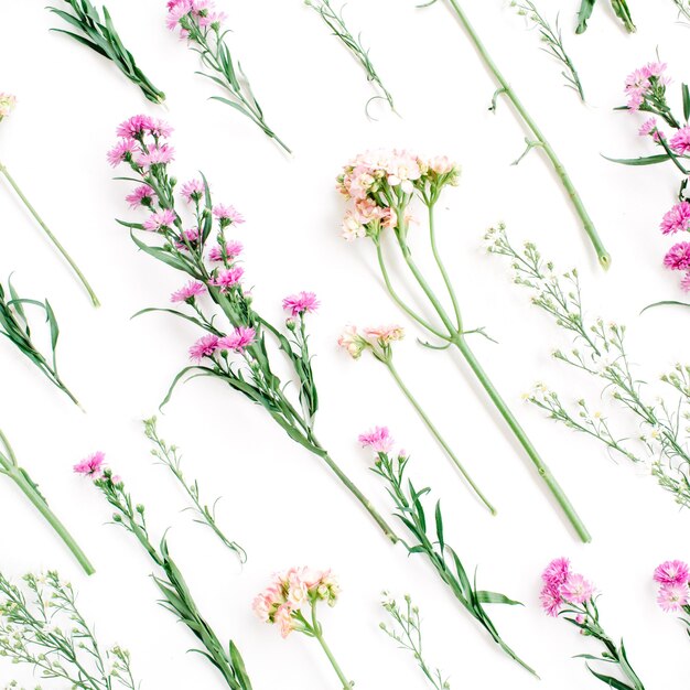 Floral pattern with pink and beige wildflowers, green leaves, branches on white