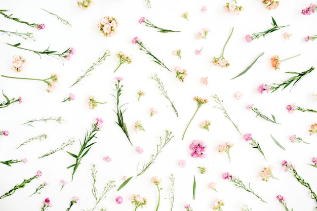 Floral pattern with pink and beige wildflowers, green leaves, branches on white