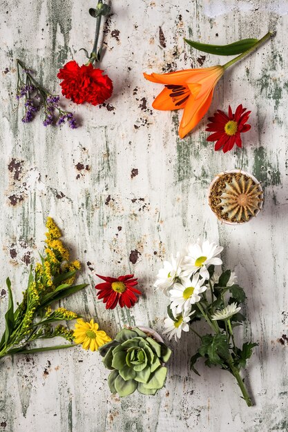 Foto motivo floreale con diversi fiori colorati