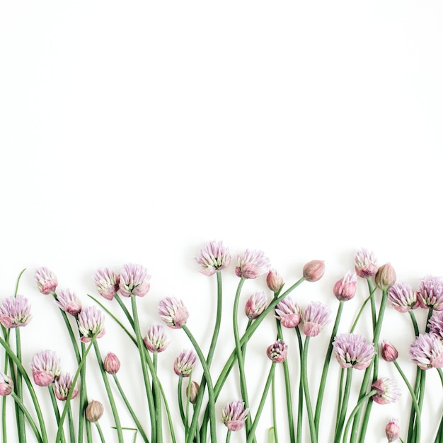 Foto motivo floreale con fiori selvatici, foglie verdi, rami su bianco