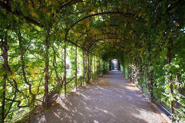 Floral pergola with leaves on the walls and ceiling