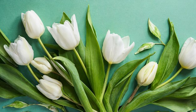 Photo floral romantic card with spring white tulips and green leaves