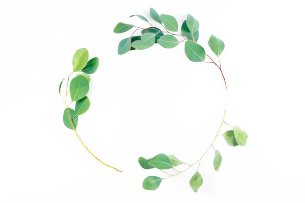 Floral round frame, eucalyptus leaves on white background.