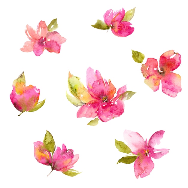 Set floreale con fiori rosa acquerello disegnati a mano elementi di decorazione floreale per invito a nozze