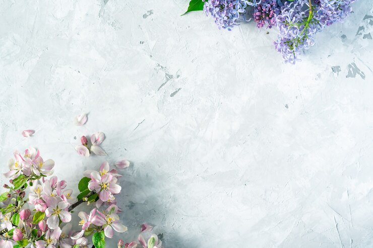 Floral spring background with variety of colorful apple and lilac flowers on concrete gray background, top view, place for text.